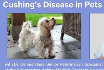 cushing's disease video cover