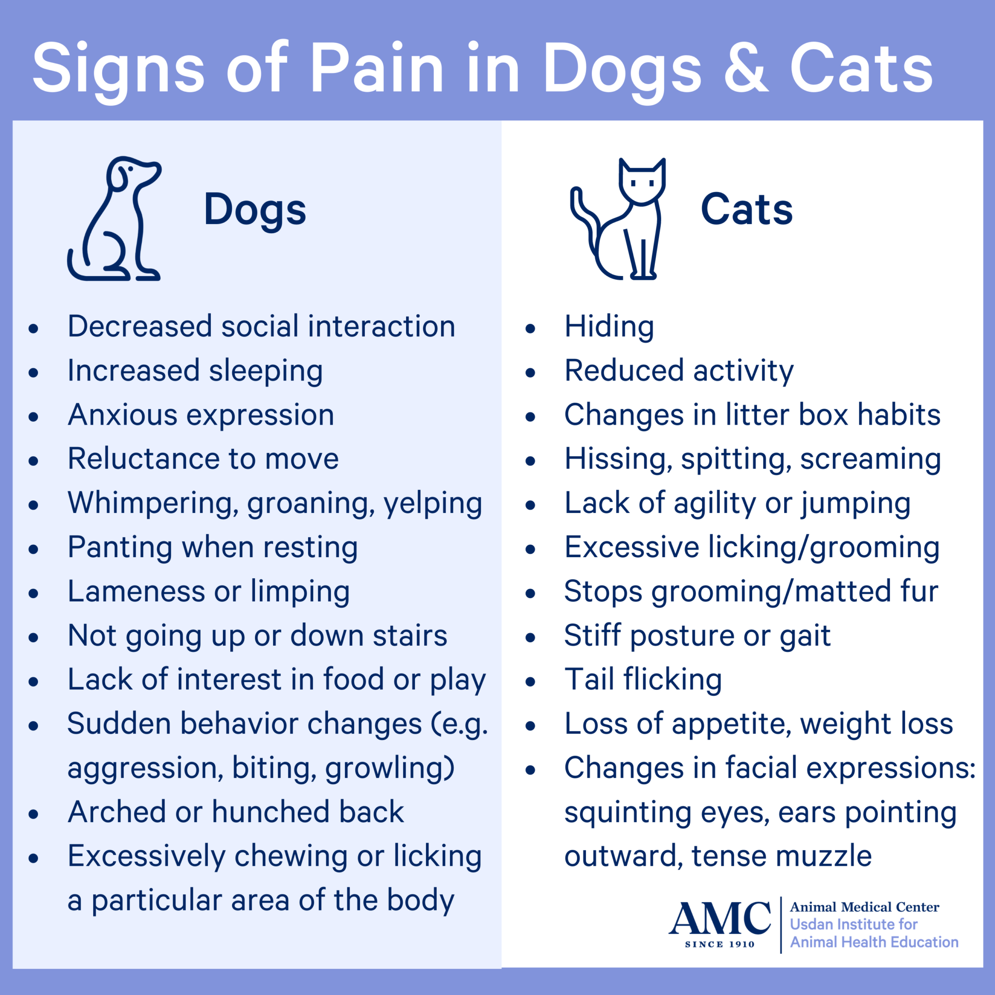 Pain in Dogs and Cats - The Animal Medical Center