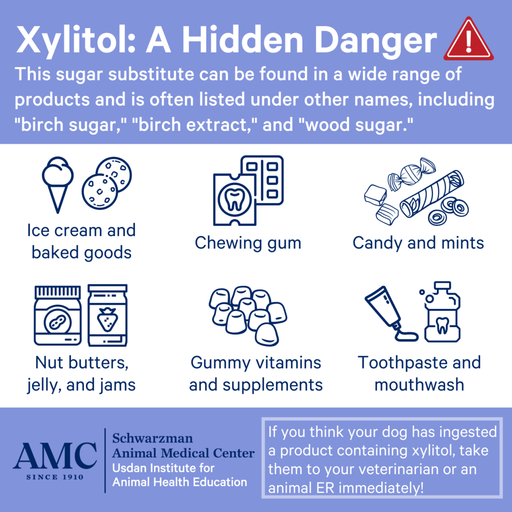 Xylitol Poisoning in Dogs The Animal Medical Center