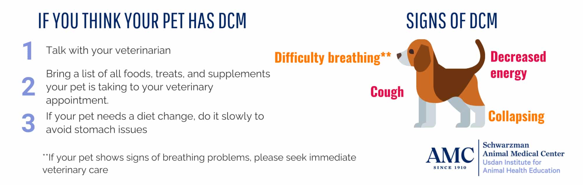 Understanding the FDA Update on NonHereditary Dilated Cardiomyopathy