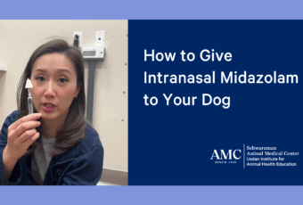 Intranasal Midazollam