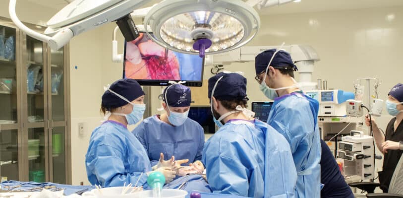 Veterinarians perform a surgery at AMC