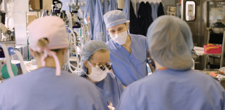 A veterinary intern observing a surgery