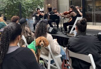 A dog listening to a string quartet