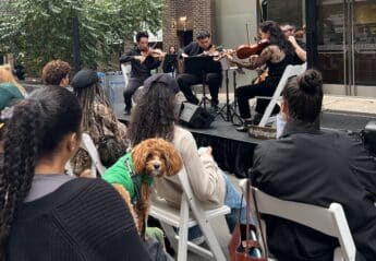 A dog listening to a string quartet