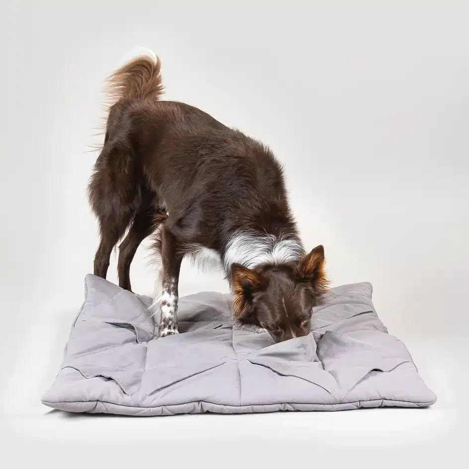 A dog on a snuffle mat