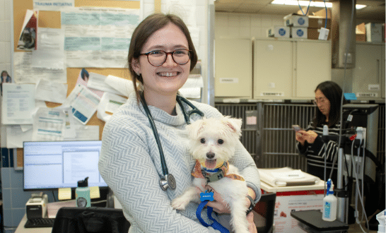 An AMC Intern with a small white dog