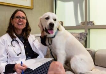 Dr. Ann Hohenhaus with a dog on a couch