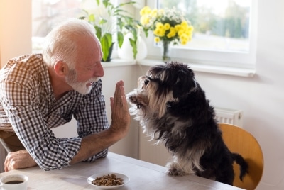 A man feeding his dog